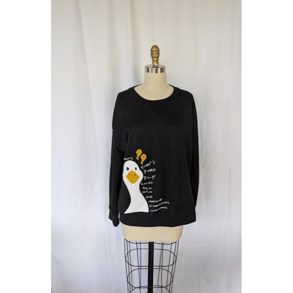 CIDER Sweatshirt Women's Size‎ Medium Math Formula STEM Pullover GOOSE Teacher